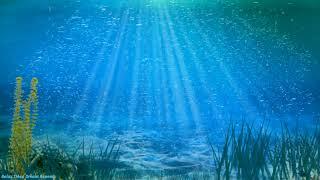 Underwater Sounds |  Underwater Aquarium  | Relaxing Bubbles |  Meditation and Sleep | White Noise