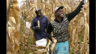 Agricultural solutions in Africa - a slideshow