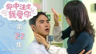 命中注定我愛你 You're My Destiny EP22｜三立華劇