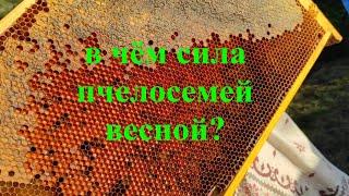 17.10. 2024г.  Делайте так и получите бурное, форсированное развитие здоровых  пчелосемей весной !!!