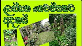 Ideas for a beautiful garden. (ලස්සන ගෙවත්තකට අදහස්) #srilanka