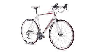 CHRISSON 28 Zoll Rennrad Road Bike - Reloader Weiss rot mit 24 Gang Shimano Claris Schaltung