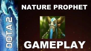 Dota 2 with dsr07mm - Nature Prophet