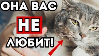 12 признаков, что кошка Вас не любит!:(