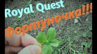 Royal Quest Фортуночка Заточка Создание Альбомы Покраска Карты Рунки