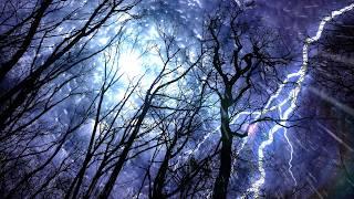 Forest Rain & Thunderstorm Sounds 10 Hours | Sleep or Study to Rain Falling White Noise Ambiance