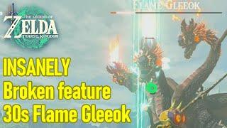 I beat Flame Gleeok in 30 seconds with the MOST OVERPOWERED GAME FEATURE, Zelda Tears of the Kingdom