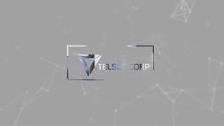 telsec logo animation