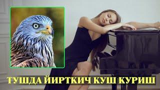 Туш табири - Тушда Йирткич куш куриш