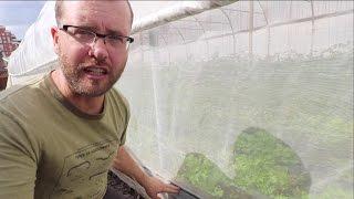 Bug-Proof Your Greenhouse: The Ultimate Solution!