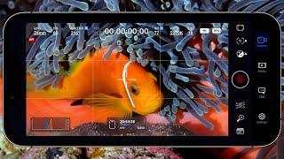 Blackmagic Camera App for underwater | Every setting explained!