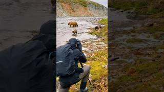 Photographing Brown Bears in Alaska -behind the scenes