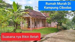 Suasana Kampung Cibodas Matak Wa,as Bikin Betah Ada Rumah Di Jual Murah