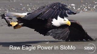 Dive into the Eagle Sphere - as never seen before in SloMo