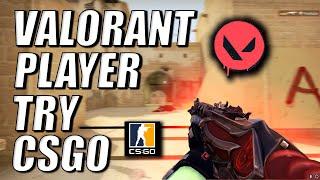 VALORANT PLAYER TRY CSGO