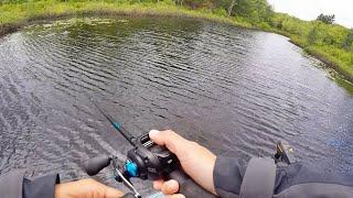 Shallow Pike DESTROYING Spinnerbaits!