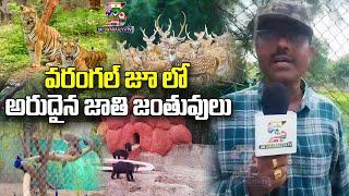 Hanumakonda District | Exclusive coverage by Jai Swarajya World TV from Warangal Zoopark