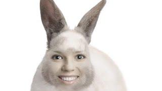 Zoobe bunny krisses you