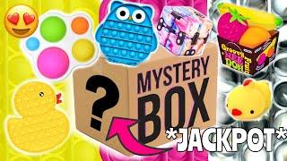 OPENING A GIANT FIDGET TOY MYSTERY BOX!  *legendary fidgets*