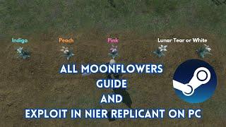 All Moonflowers Guide and Exploit in Nier Replicant on PC