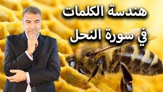 هندسة الكلمات في سورة النحل | عبد الدائم الكحيل