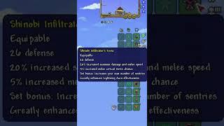 This is the best melee setup in terraria (read description)