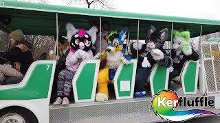 Kerfluffle 16 "Zootopia" Event Video (Toronto Zoo)