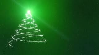 Christmas Tree Background - Merry Christmas Green | No copyright motion background