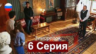 Зимородок 6 Cерия (Русский дубляж)