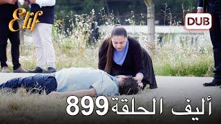 أليف الحلقة 899 | دوبلاج عربي