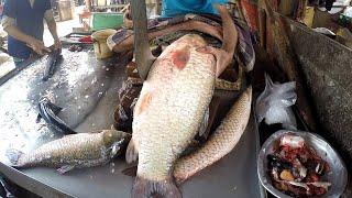 Big Rohi Fishing Cutting Srilanka | Fish Cutting In Market | Akash Fishing