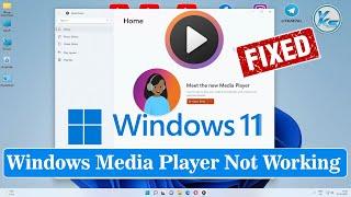  How To Fix Windows Media Player Not Working in Windows 11