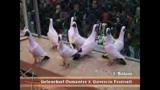 8.OSMANİYE GELENEKSEL GÜVERCİN FESTİVALİ - Part 7