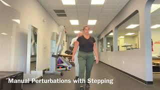 Manual Perturbations with Stepping