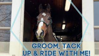 Groom, Tack Up & Ride with Me!! | Hanging out w/ my Thoroughbred at the Barn •  EQUESTRIAN VLOG