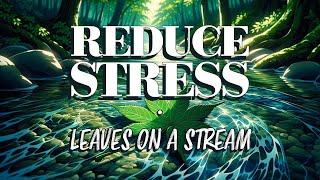 Calm Your Mind Instantly with Leaves on a Stream Meditation