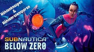 Subnautica Below Zero - Höhlen Knospe & Höhlen Rosensporen finden