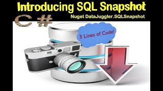 How To Export SQL Server Data To Excel Using C# and DataJuggler.SQLSnapshot