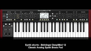 Synth Shorts - Behringer DeepMind 12 - Classic Synth Brass Pad #Shorts