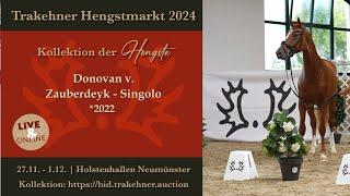 38 - Donovan - Hengst v. Zauberdeyk - Singolo *2022