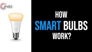 Do You Need a Smart Bulb? How Do They Work? | Candid.Technology