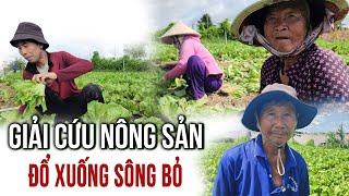 1 năm gặp lại Út Nhứt cùng giải cứu nông sản giúp ông bà cụ thoát cảnh nợ nần | Bùi Hồ TV