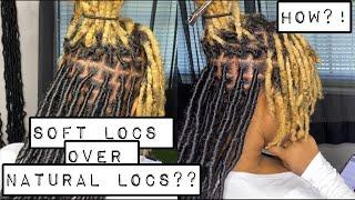 Soft Locs over Natural Locs! | Beginner Friendly | Best Tutorial | Extended Soft Locs