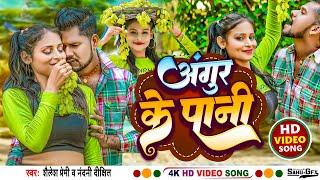 #video अंगूर के पानी | #Shailesh Premi | Nandani Dixit | Angur Ke Pani | Dhodi Ke Aashiq | New Song