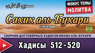 Сахих аль-Бухари, хадисы № 512-520. Фокус темы: МОЛИТВА (Намаз/Салят)