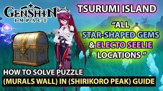 Genshin Impact - How To Solve Murals Wall Puzzle (Star shaped Gems & Electo Seelie) Locations Guide