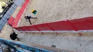 Le taureau saute presque dans le public  Course camarguaise Vallabrègues (jeune) 14.09.24