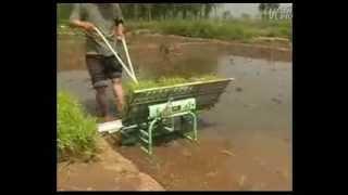 3 row Manual Rice Transplanter