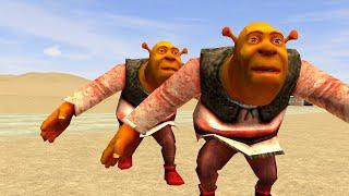 KOO MOMENT SHREK