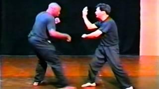 Pak Mei Kung Fu ~ Master Man Kwong Fong 1995